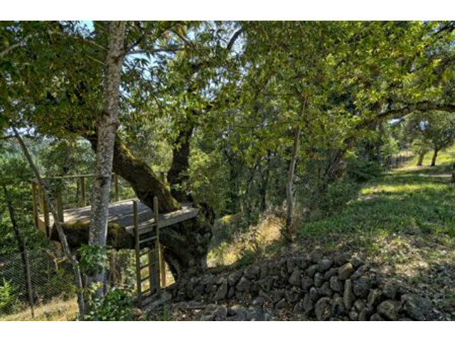 23700 Morrill Cutoff Road Los Gatos, CA 95033 - Photo 17 of 25 Gallery Image 17