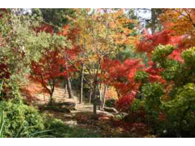 23700 Morrill Cutoff Road Los Gatos, CA 95033 - Photo 22 of 25 Gallery Image 22