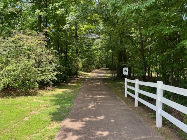 47 Addiegreen Cove Collierville, TN 38017 - Photo 32 of 34 a view of park with trees