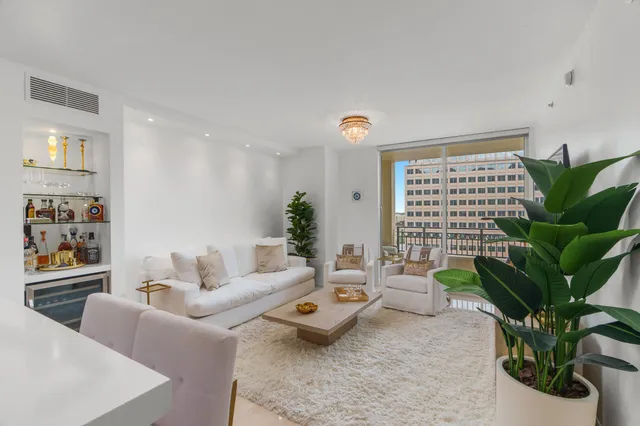 a living room with furniture potted plant and a window