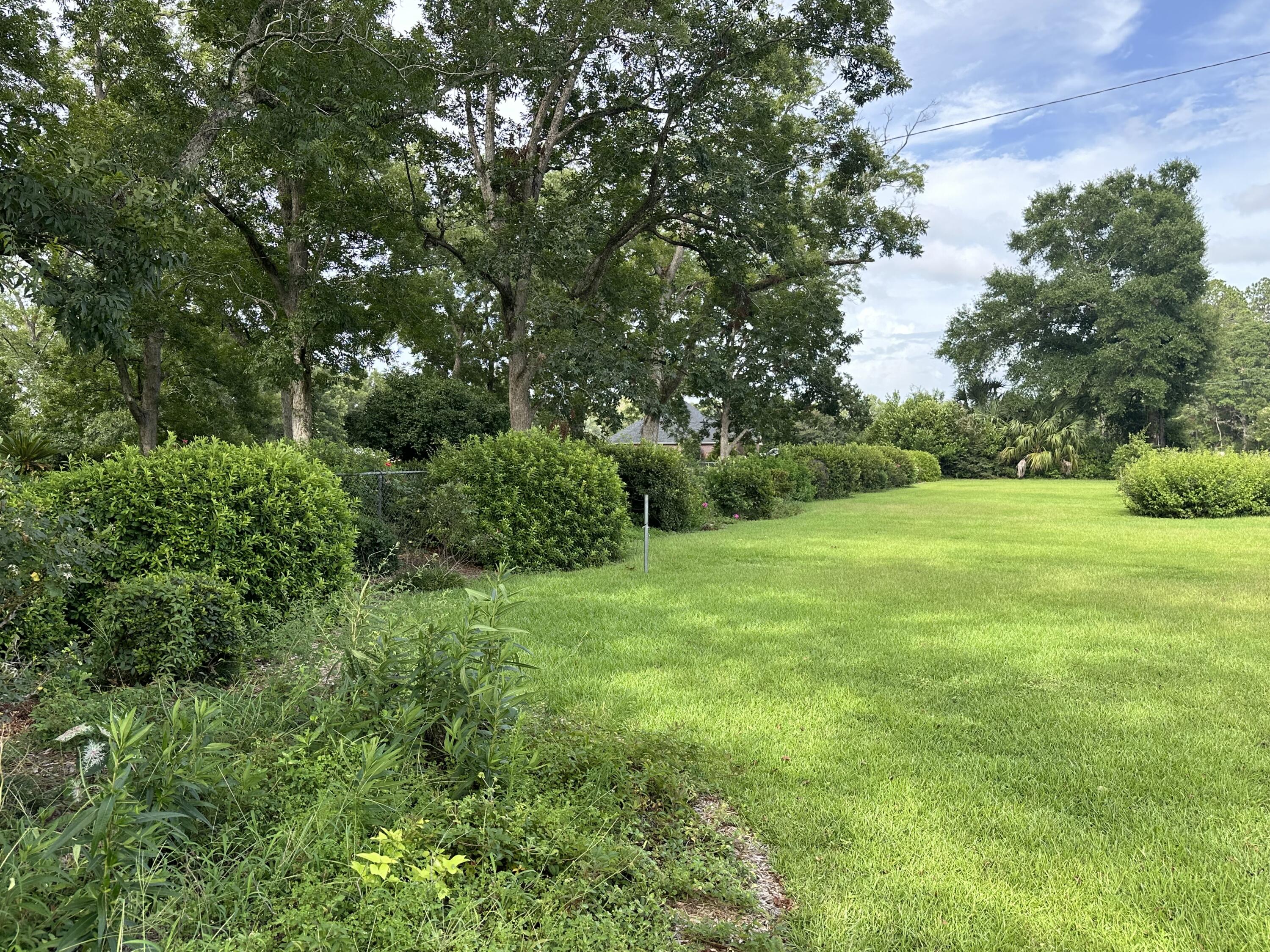5303 Griffith Mill Road Baker, FL 32531 - Photo 3 of 58 a view of a grassy field with trees