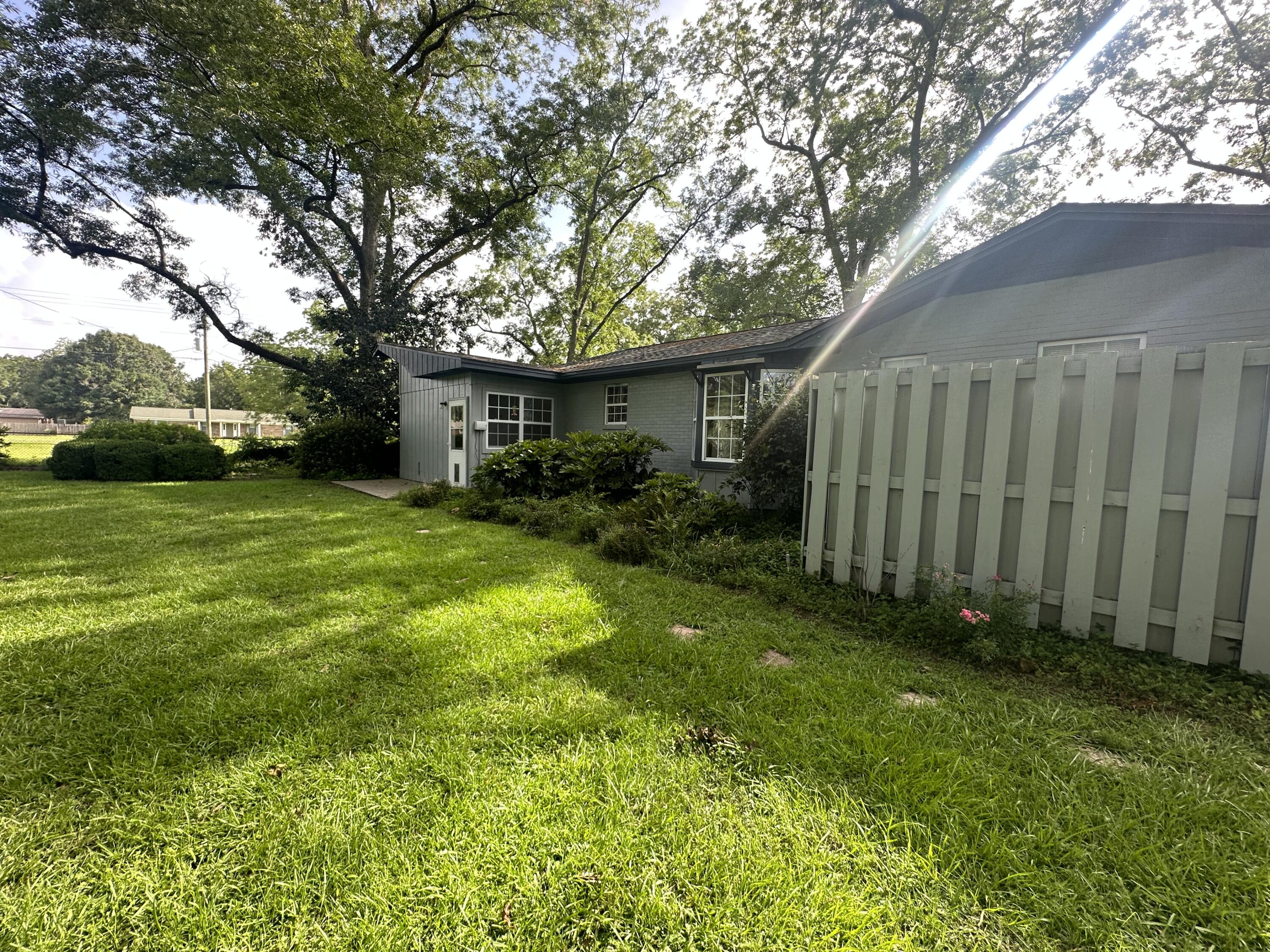 5303 Griffith Mill Road Baker, FL 32531 - Photo 49 of 58 a view of a backyard with potted plants and large trees