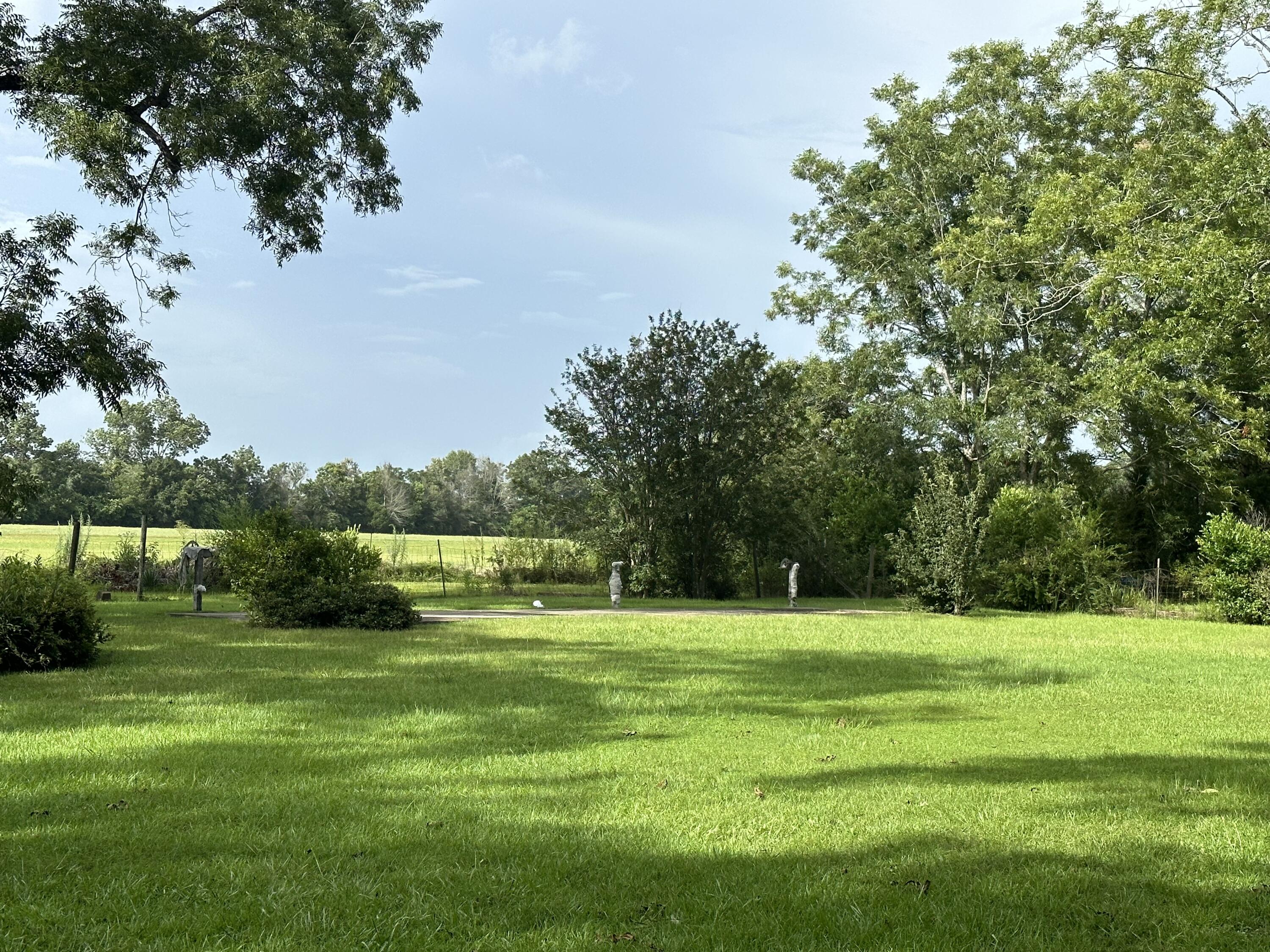 5303 Griffith Mill Road Baker, FL 32531 - Photo 52 of 58 a view of a park