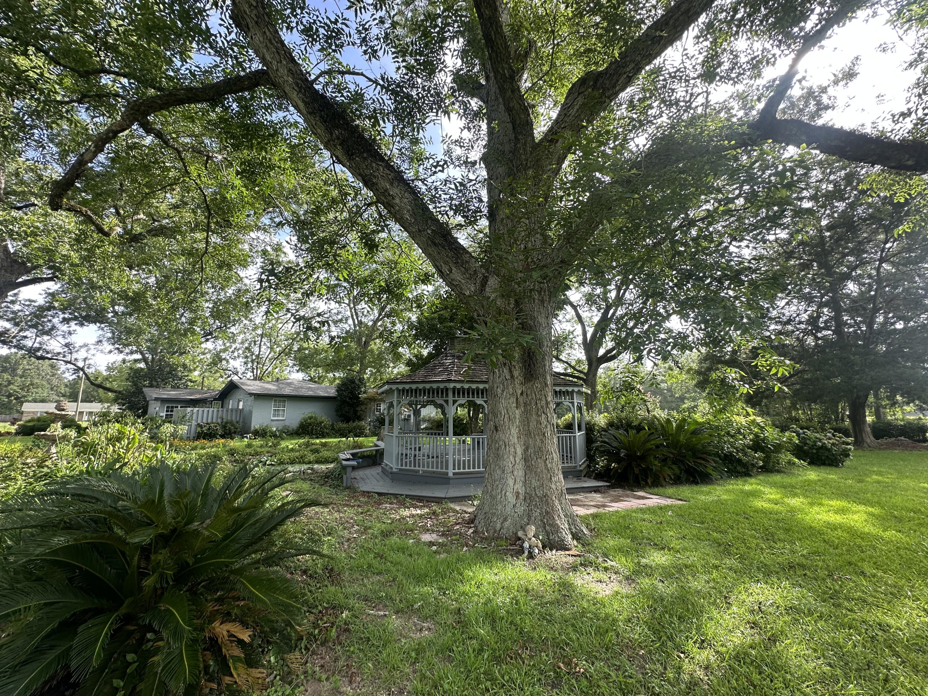 5303 Griffith Mill Road Baker, FL 32531 - Photo 55 of 58 a view of lake with a tree