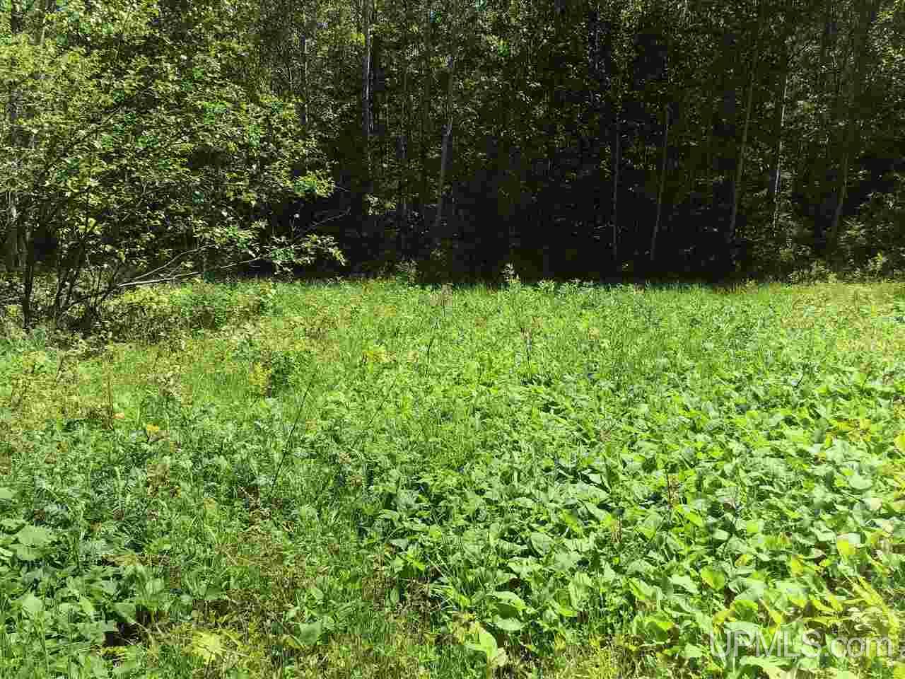 Tbd Co Rd 496 (b) Road, Unit PARCEL B Champion, MI 49814 - Photo 12 of 33