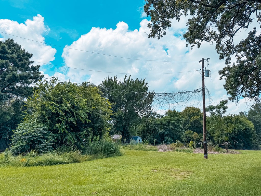 1711 West Point Tap Road Palestine, TX 75803 - Photo 15 of 17
