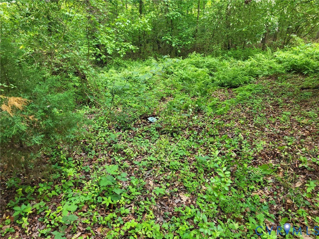 13060 River Road Richmond, VA 23238 - Photo 8 of 11