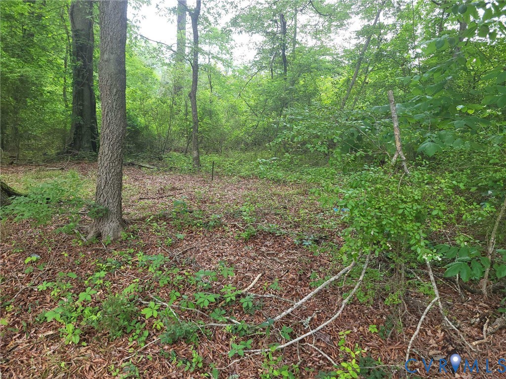 13060 River Road Richmond, VA 23238 - Photo 9 of 11