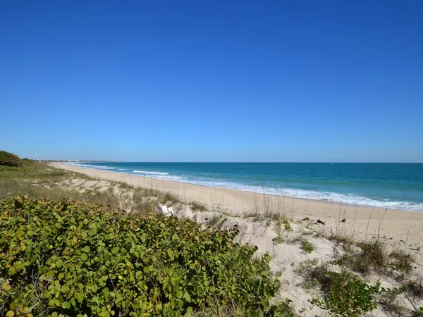 a view of beach and ocean
