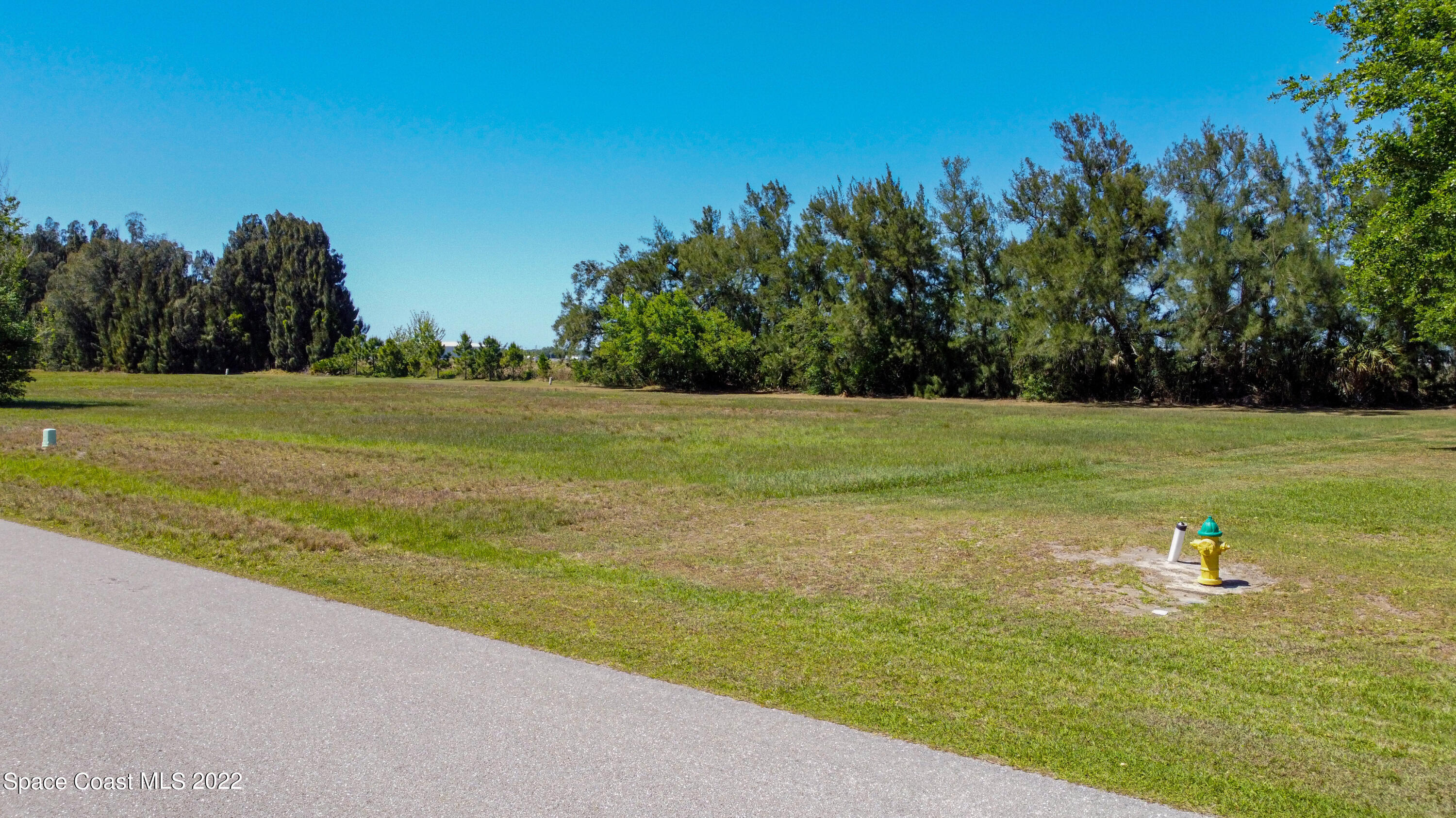8301 Castile Road Sebring, FL 33876 - Photo 18 of 25 a view of a field with an trees in the background