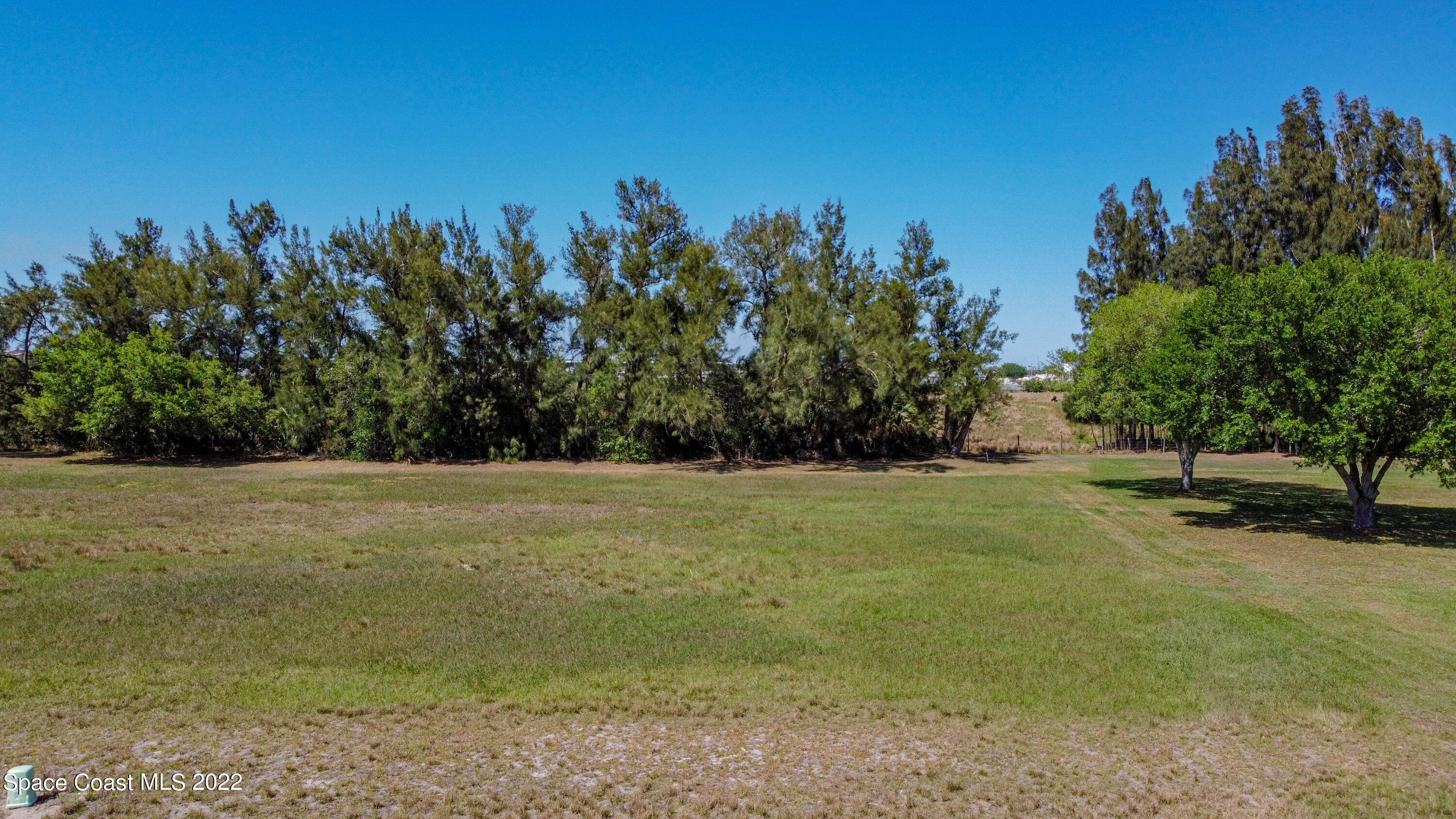 8301 Castile Road Sebring, FL 33876 - Photo 21 of 25 a view of a field with trees in the background