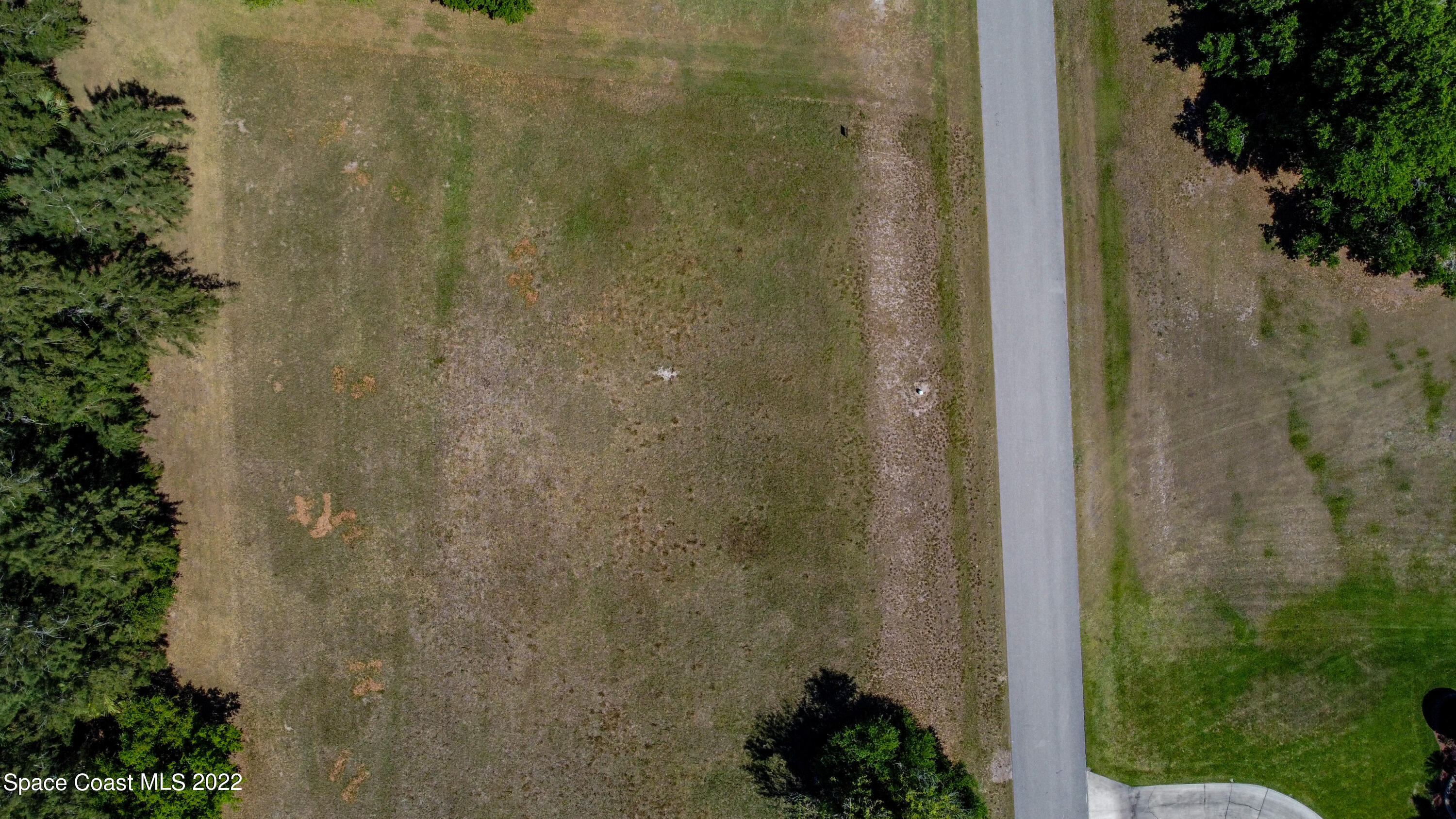 8301 Castile Road Sebring, FL 33876 - Photo 22 of 25 a bathroom with a shower curtain and a potted plant