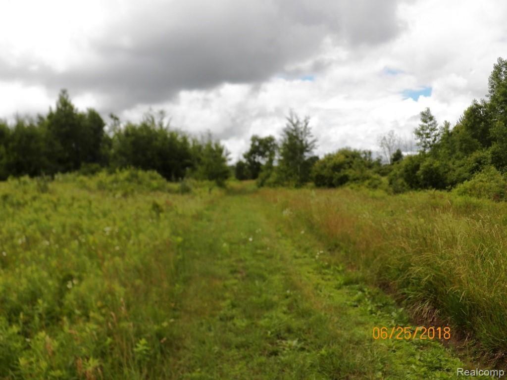 0 Sharp Road Clifford, MI 48727 - Photo 5 of 7 100_4916.JPG