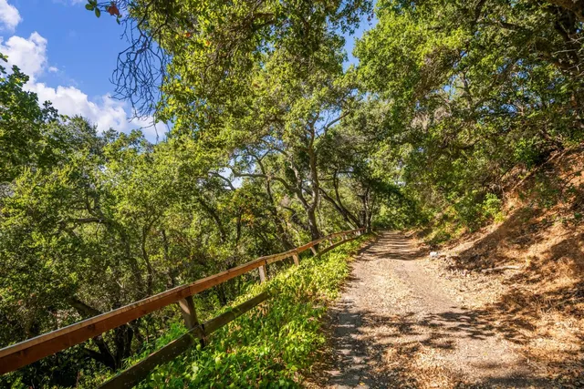 a view of a yard with a tree