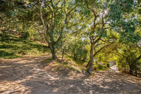 a big yard with lots of trees
