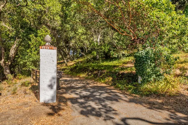 a pathway of a yard
