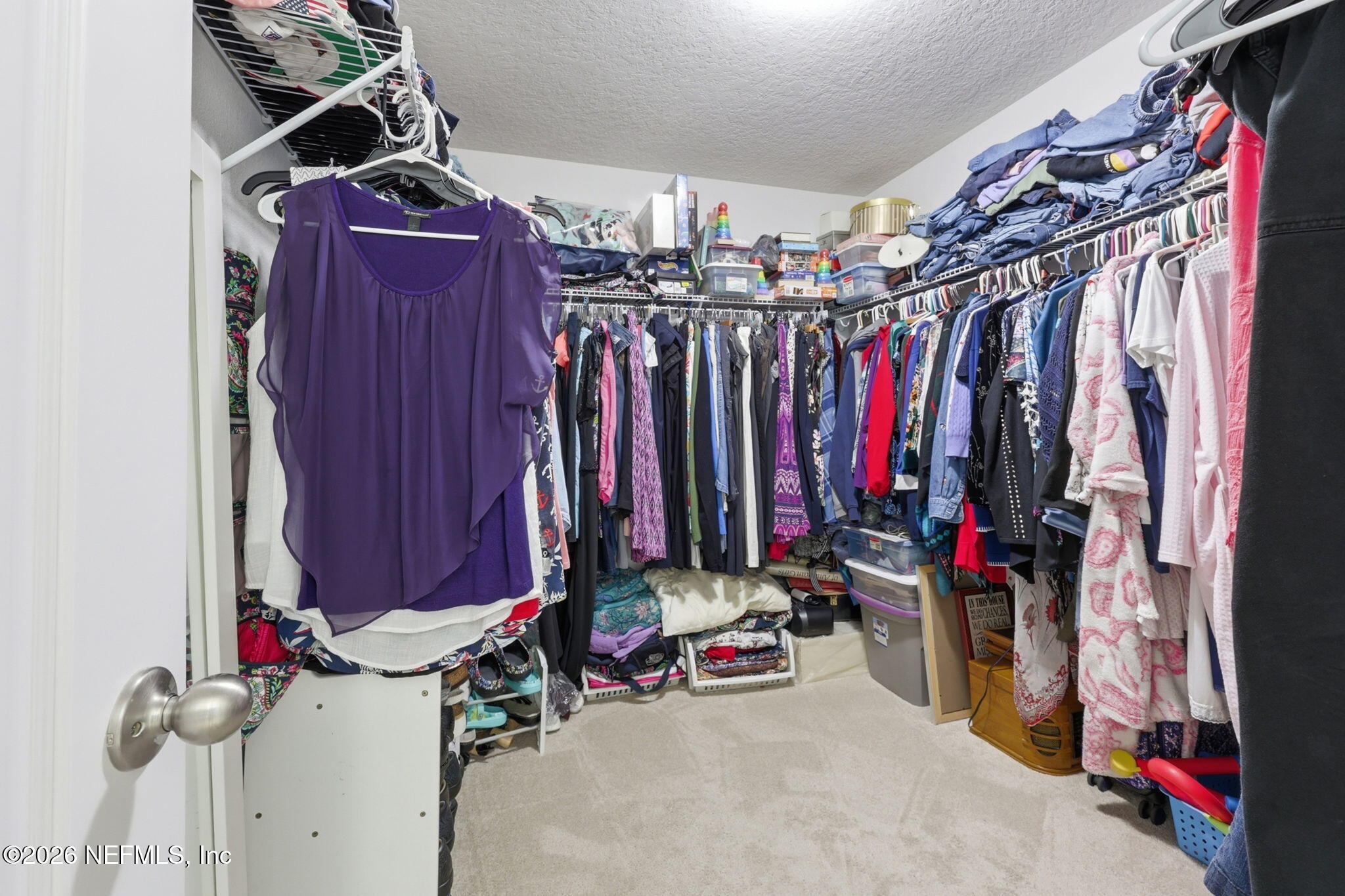 1090 Wetland Ridge Circle Middleburg, FL 32068 - Photo 33 of 87 Primary Bedroom Closet 1