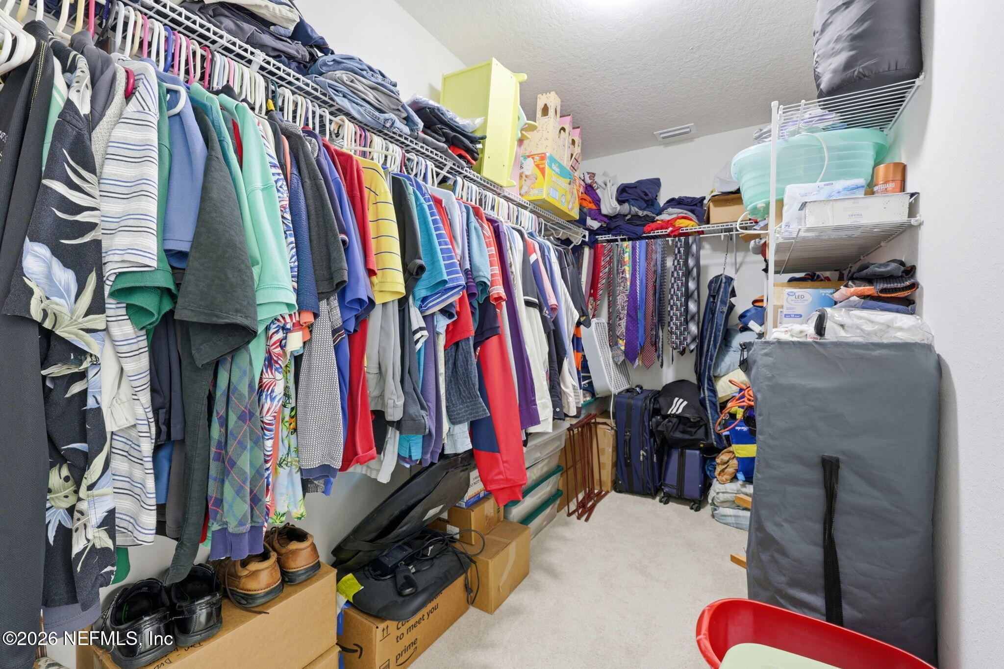 1090 Wetland Ridge Circle Middleburg, FL 32068 - Photo 34 of 87 Primary Bedroom Closet 2
