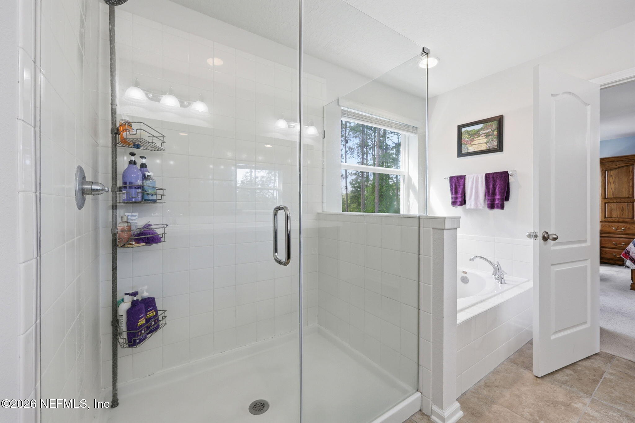 1090 Wetland Ridge Circle Middleburg, FL 32068 - Photo 37 of 87 Primary Bathroom Walk-in Shower