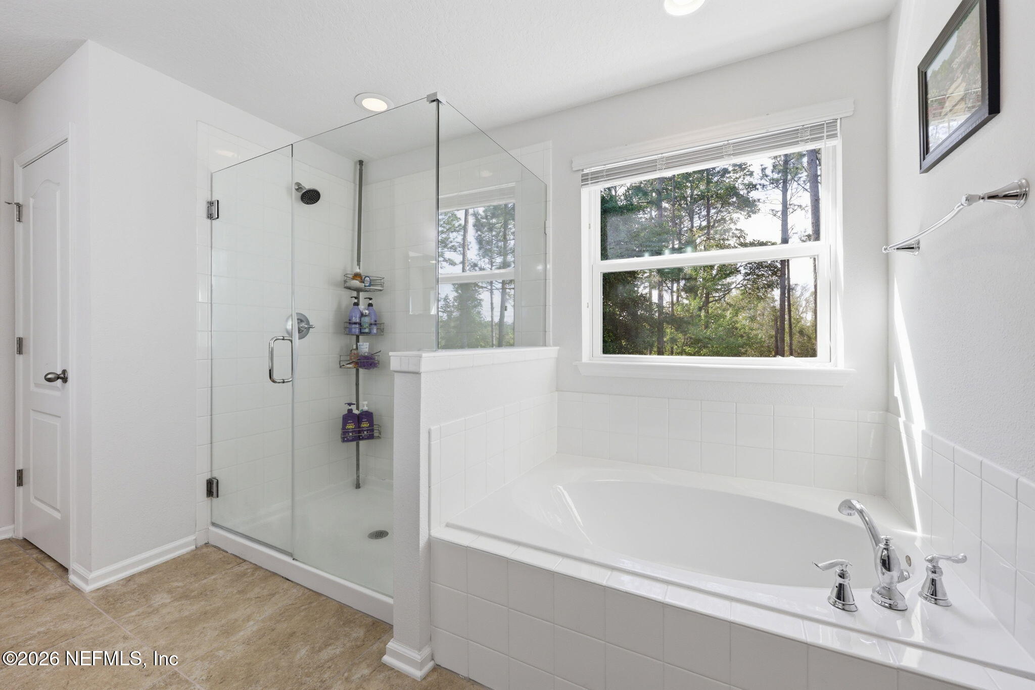 1090 Wetland Ridge Circle Middleburg, FL 32068 - Photo 38 of 87 Primary Bathroom Tub & Shower