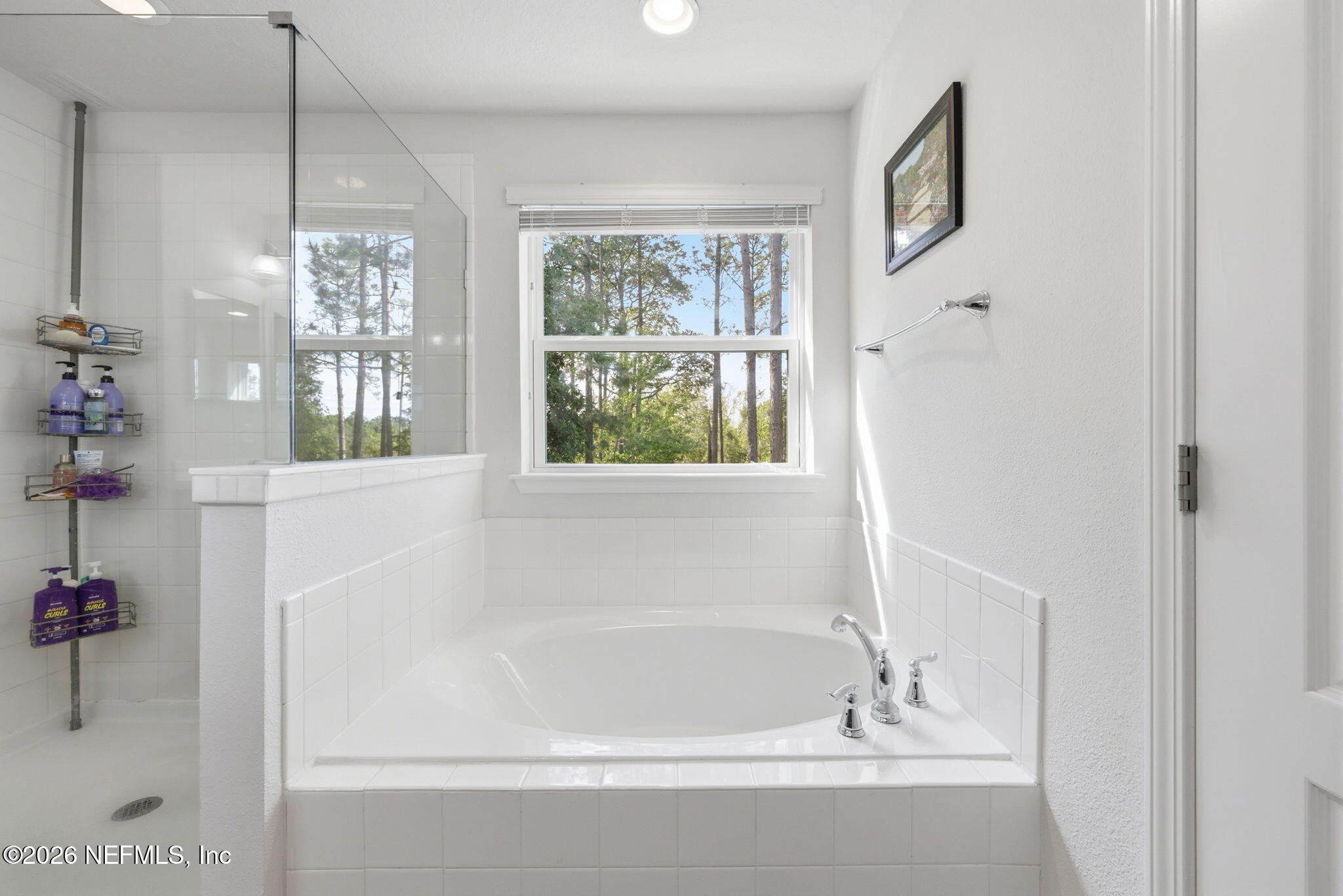 1090 Wetland Ridge Circle Middleburg, FL 32068 - Photo 39 of 87 Primary Bathroom Deluxe Tub