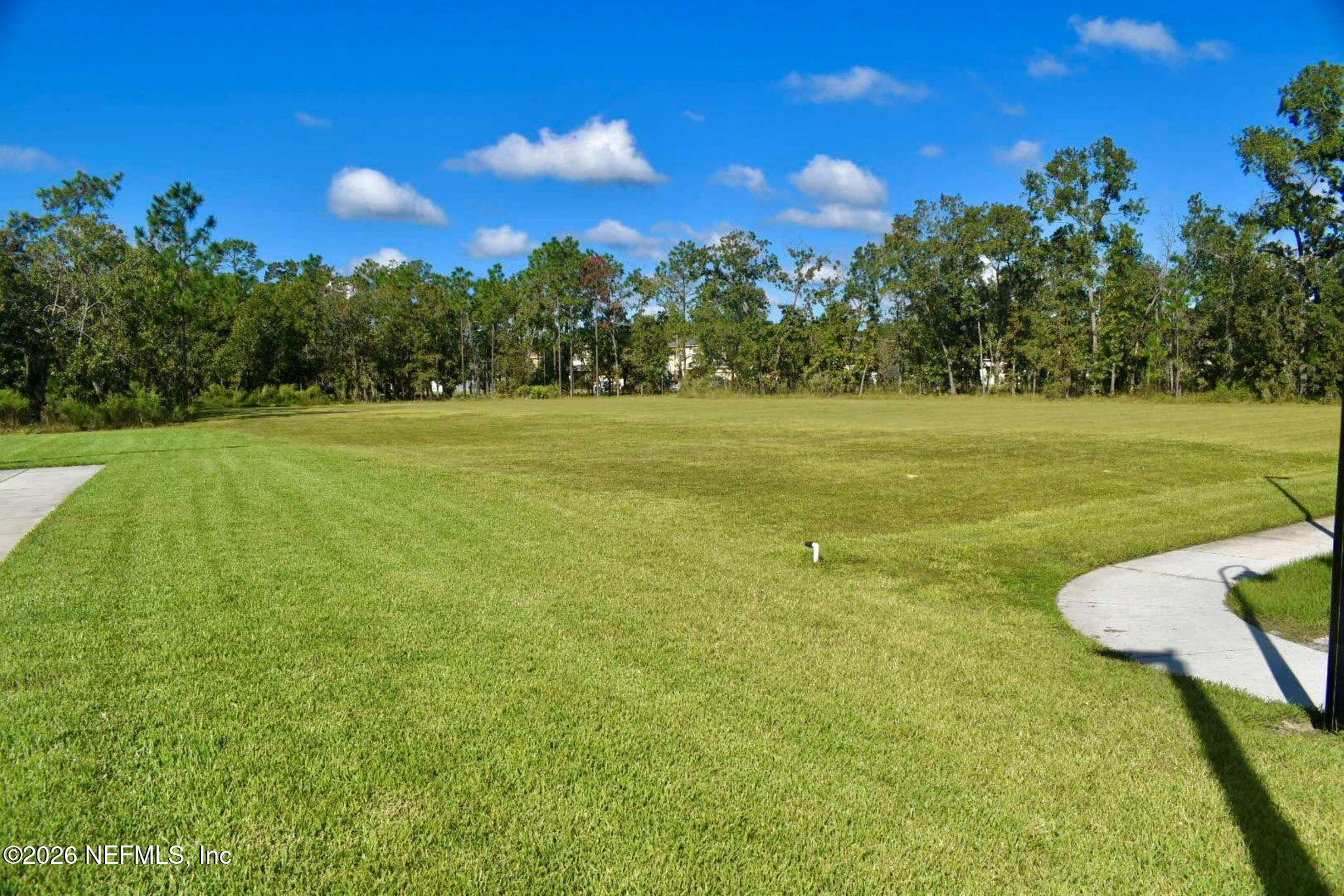 1090 Wetland Ridge Circle Middleburg, FL 32068 - Photo 85 of 87 Open Field by Sports Courts