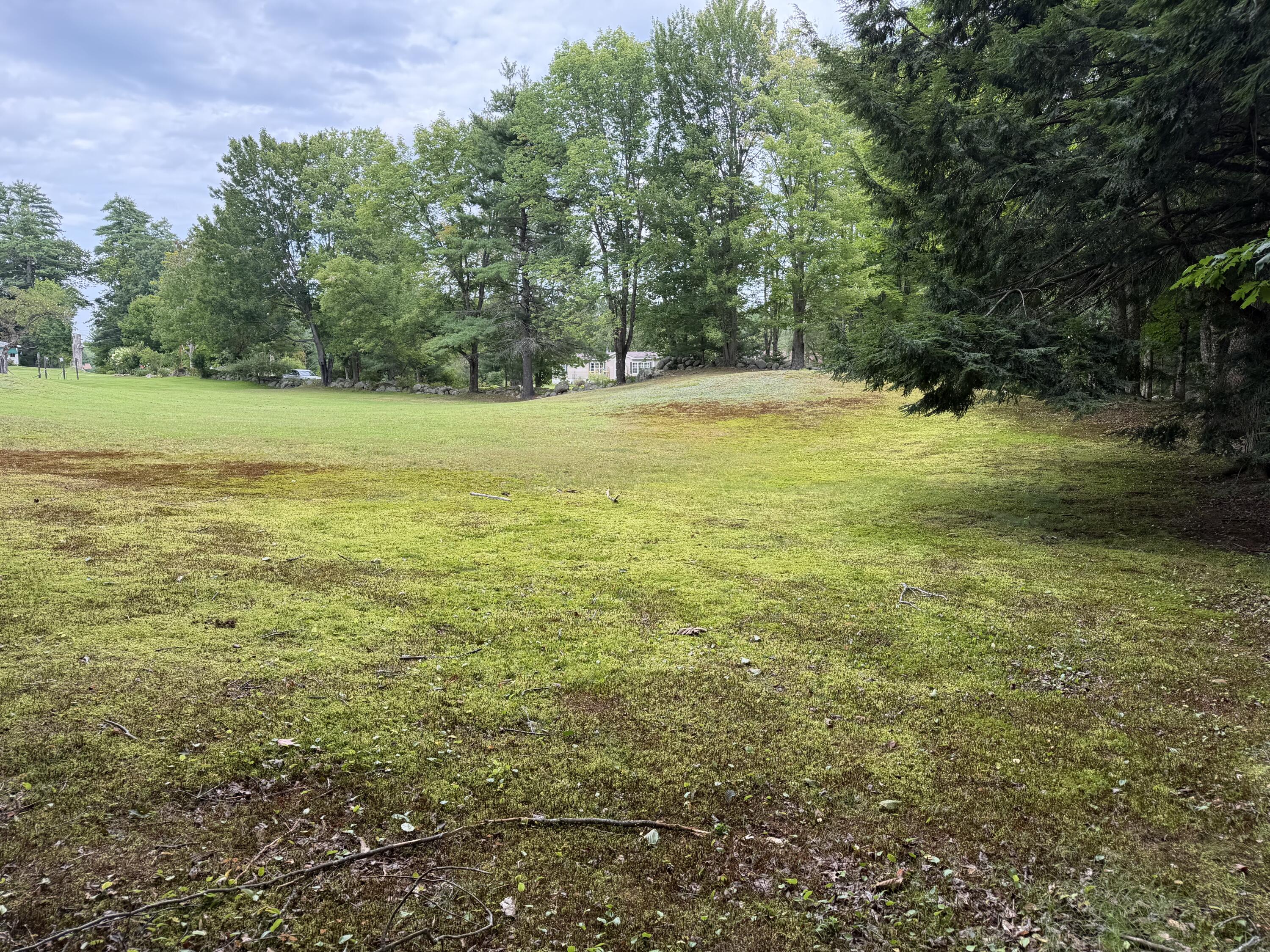 0 Patterson Road Mechanic Falls, ME 04256 - Photo 11 of 11 IMG_0253