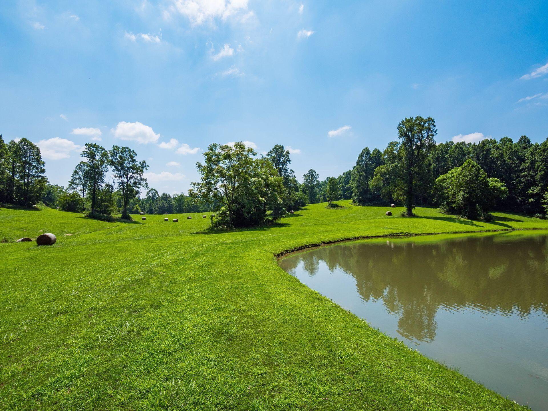 236 Tom Corwin Road Wellston, OH 45692 - Photo 63 of 104 SPRING FED POND