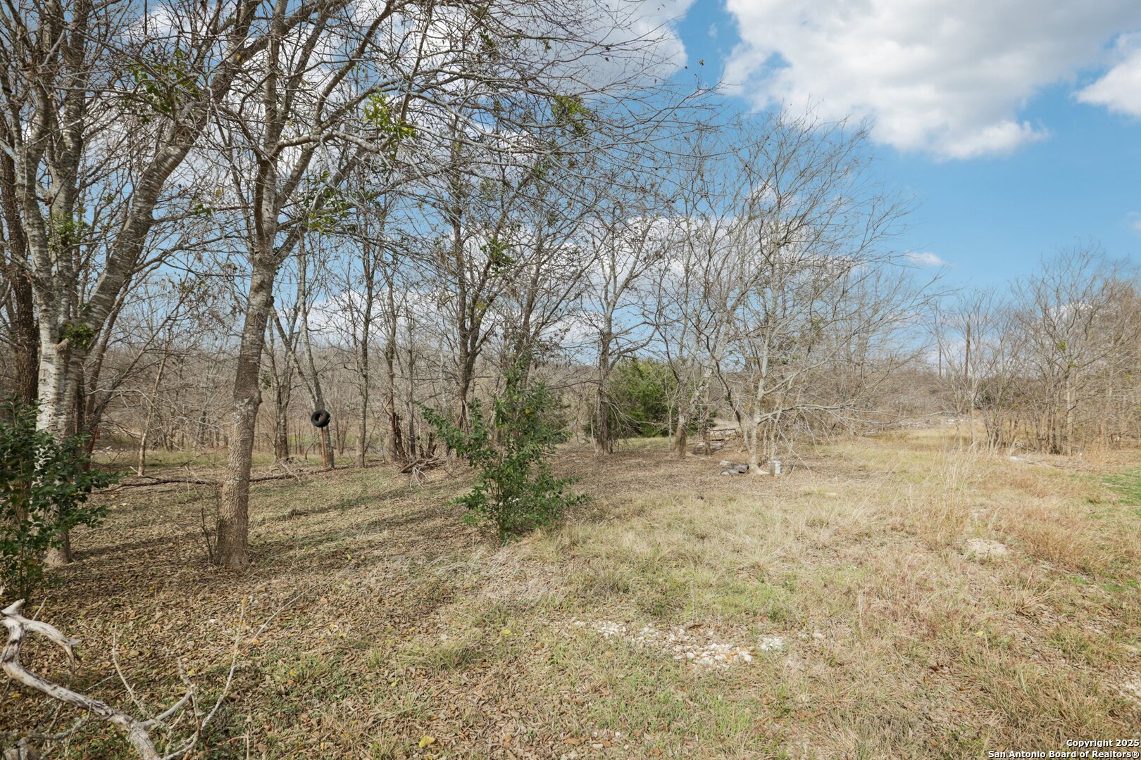 10701 Fm 1625 Austin, TX 78747 - Photo 11 of 43 a view of dirt yard with trees