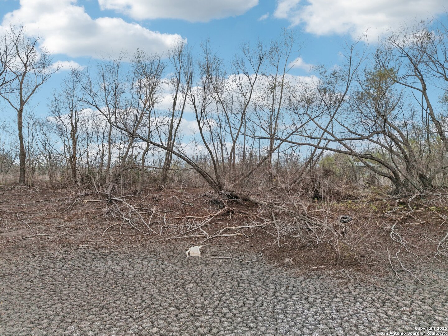 10701 Fm 1625 Austin, TX 78747 - Photo 13 of 43 a view of a yard