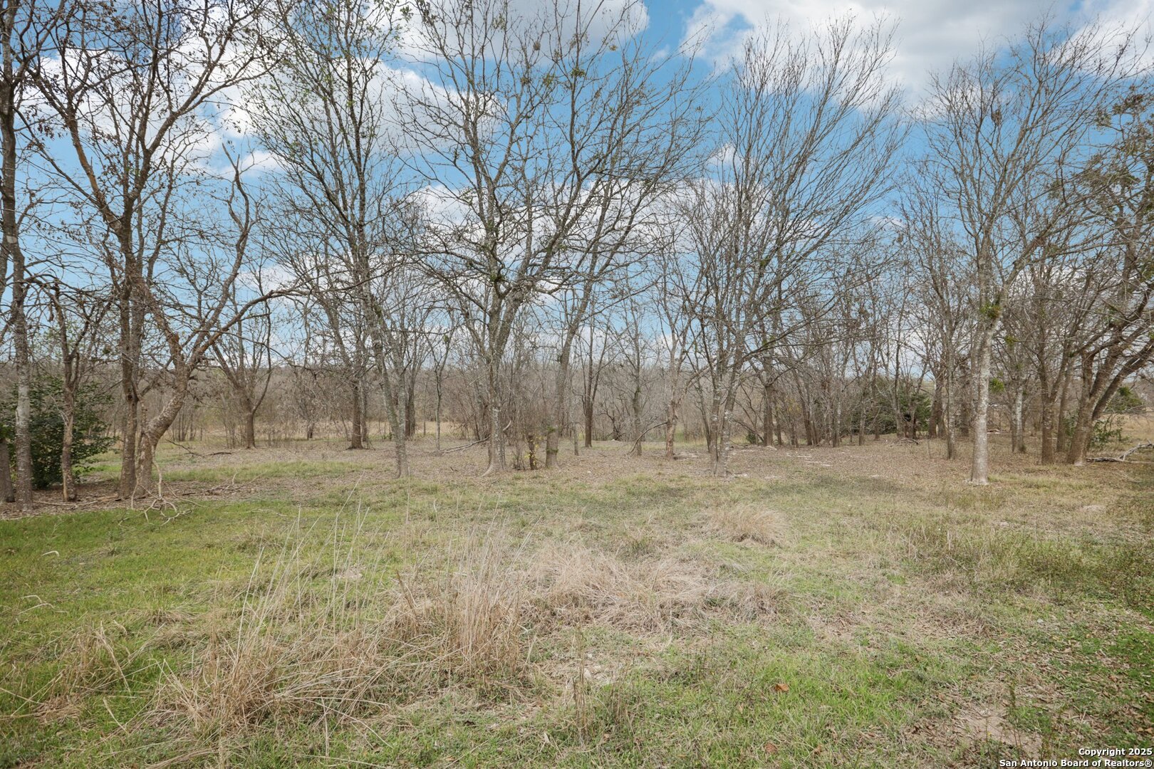 10701 Fm 1625 Austin, TX 78747 - Photo 5 of 43 a view of dirt yard with large trees