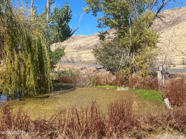 a view of a lake with a yard