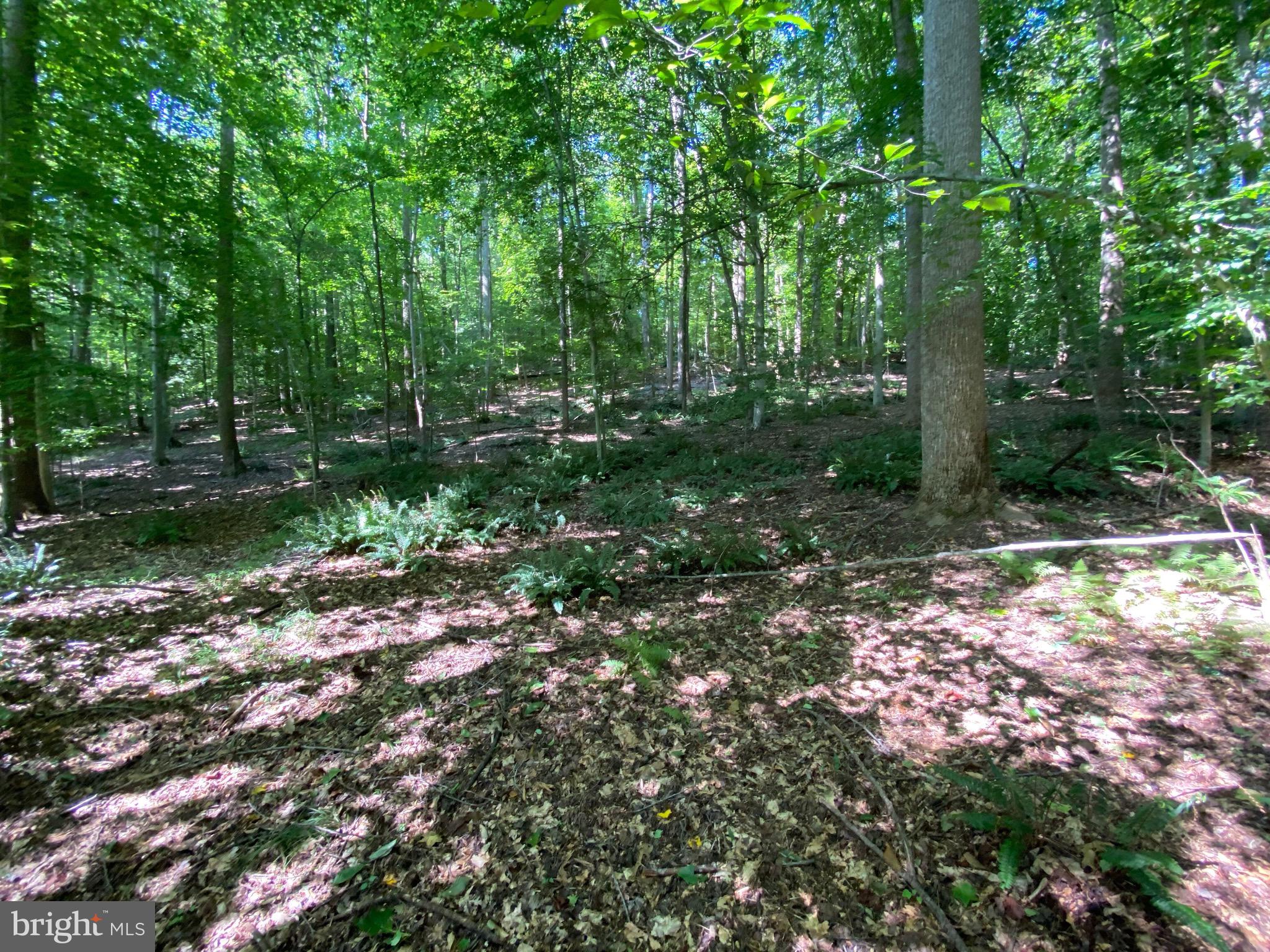 12413 Chapel Road Clifton, VA 20124 - Photo 11 of 14