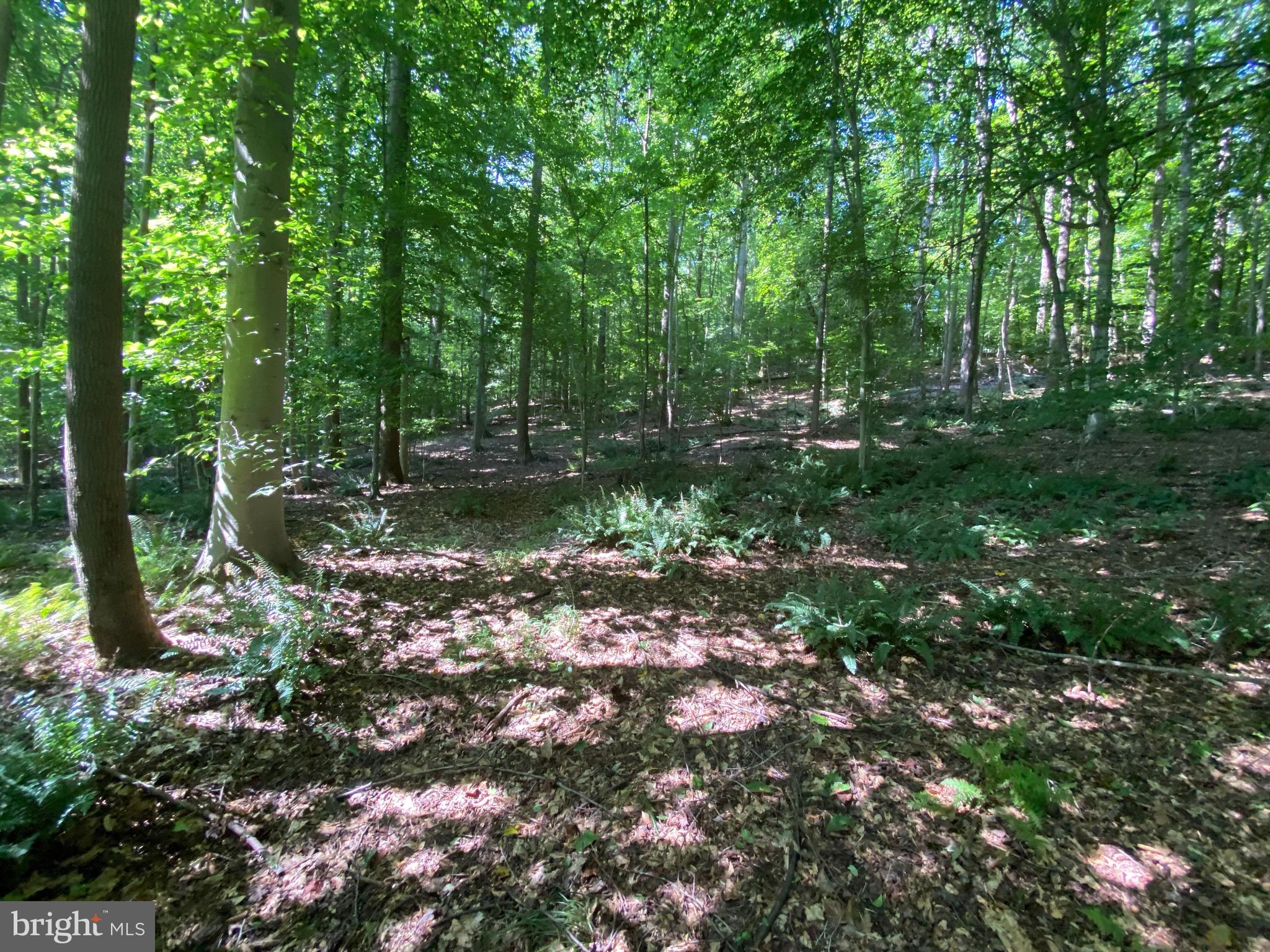 12413 Chapel Road Clifton, VA 20124 - Photo 12 of 14