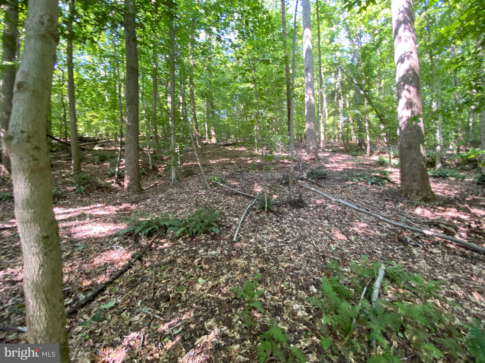 12413 Chapel Road Clifton, VA 20124 - Photo 13 of 14