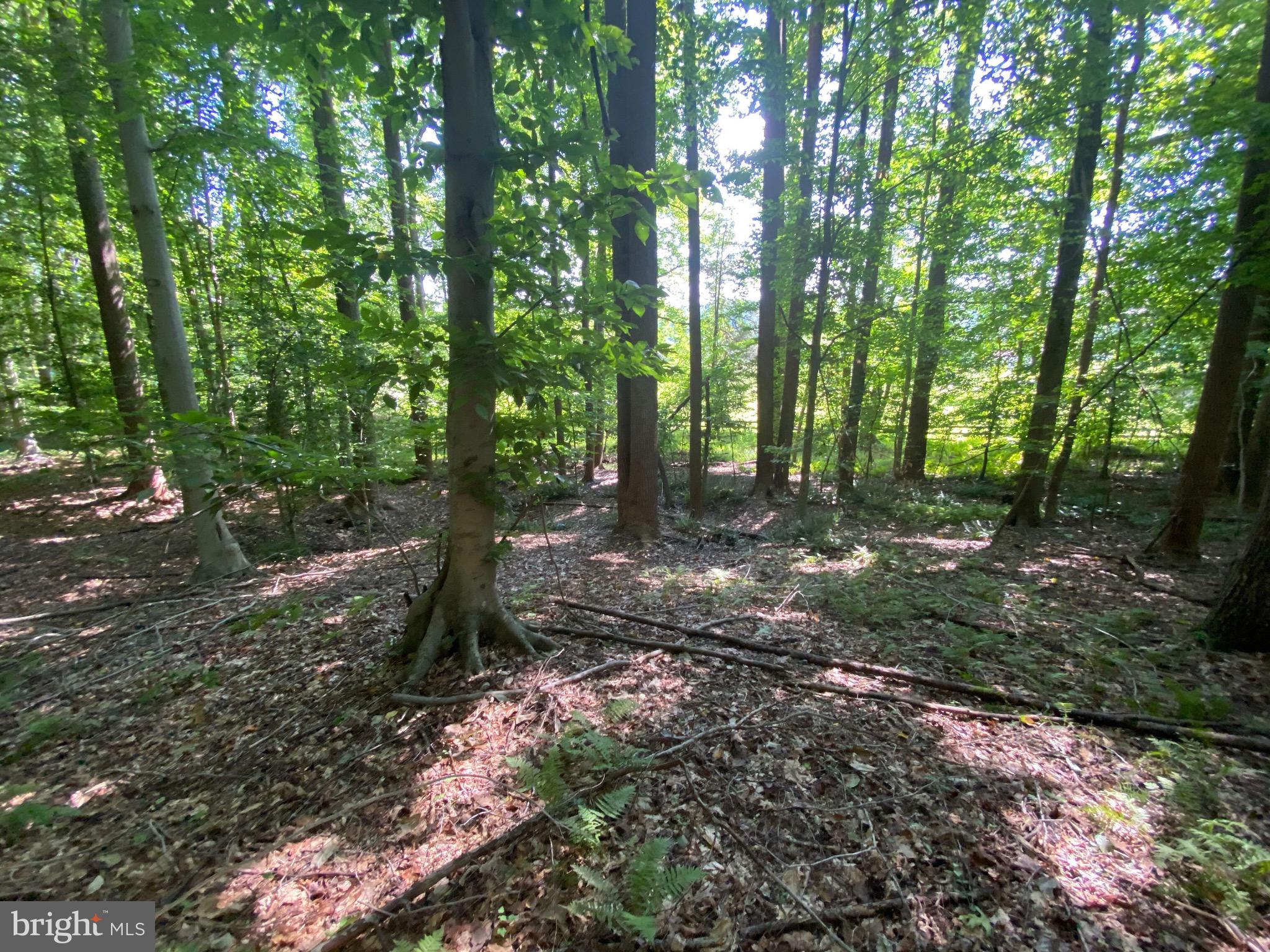 12413 Chapel Road Clifton, VA 20124 - Photo 14 of 14