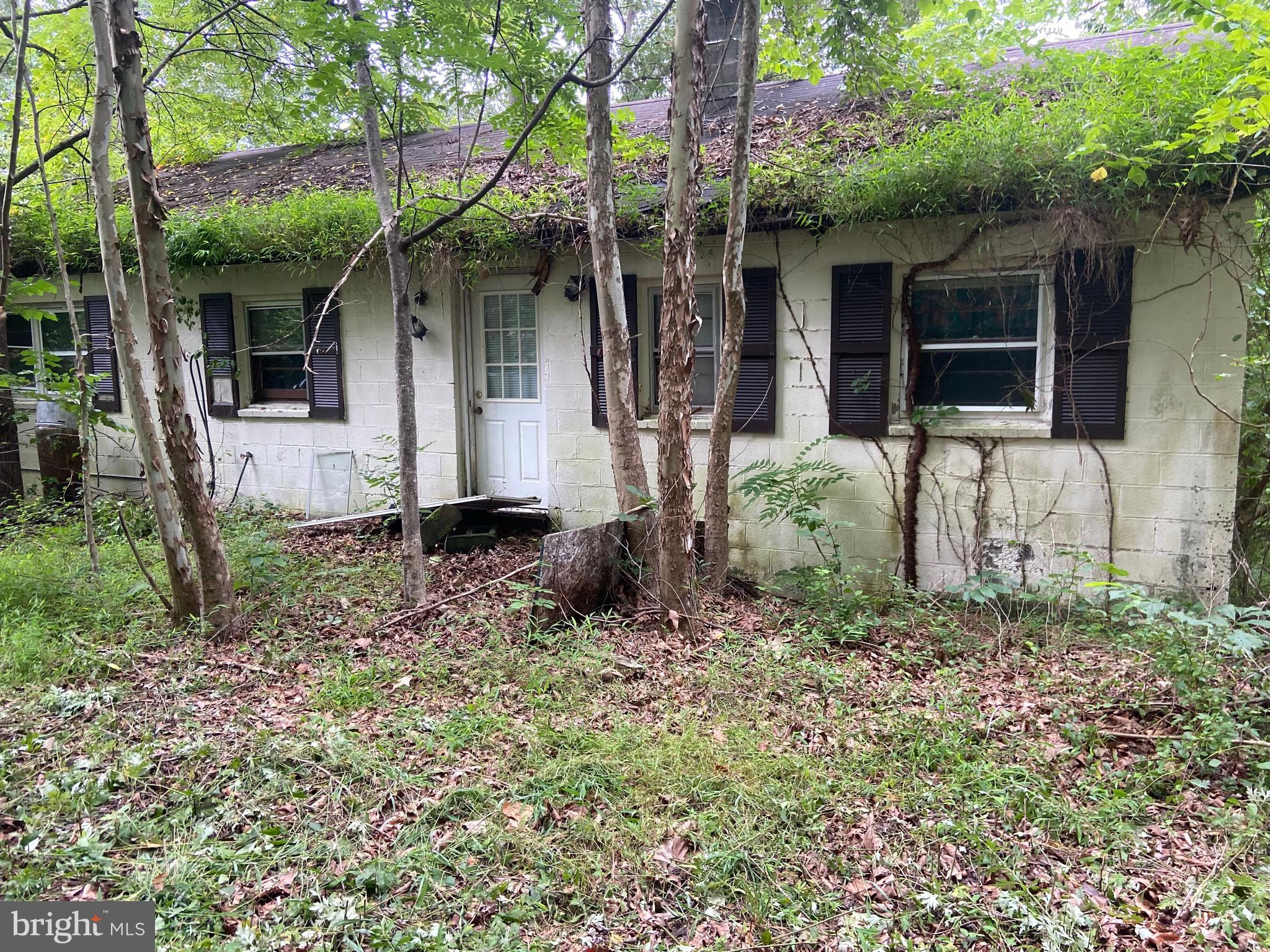 12413 Chapel Road Clifton, VA 20124 - Photo 6 of 14 Rambler built in 1965 As Is - Do Not Enter