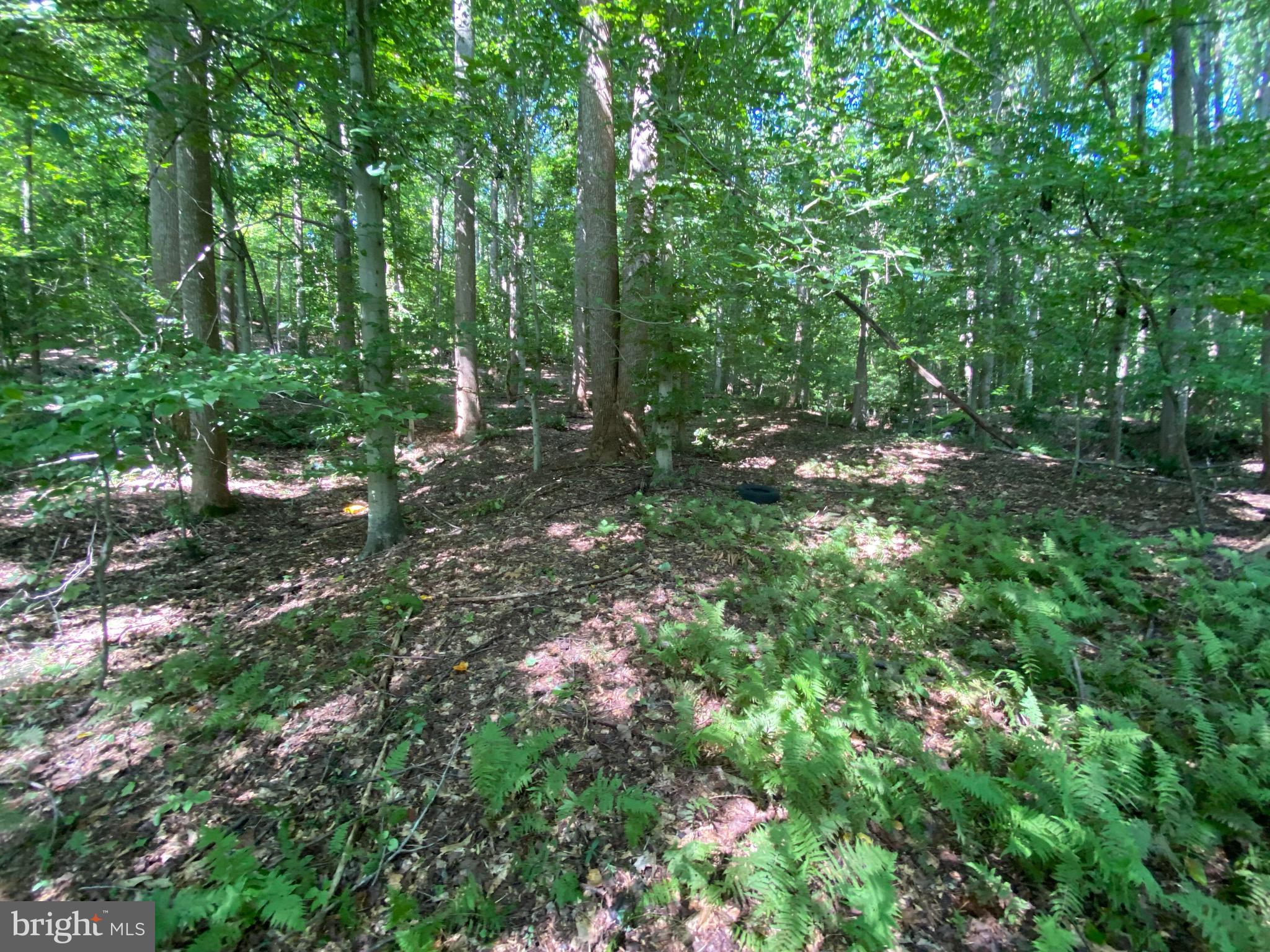 12413 Chapel Road Clifton, VA 20124 - Photo 10 of 14