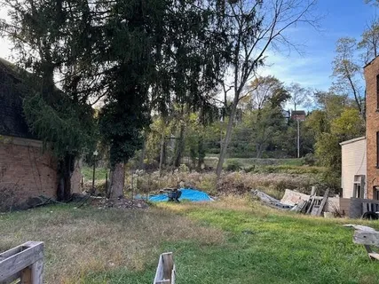 a view of a backyard with large trees