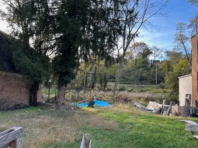 a view of backyard with green space