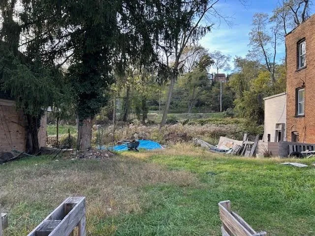 a view of a backyard with large trees