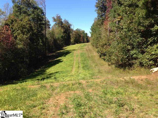576 Bennetts Bridge Road Greer, SC 29651 - Photo 3 of 10 Gallery Image 3