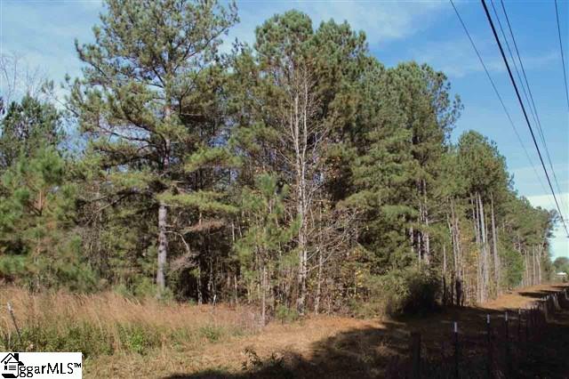 576 Bennetts Bridge Road Greer, SC 29651 - Photo 8 of 10 Gallery Image 8