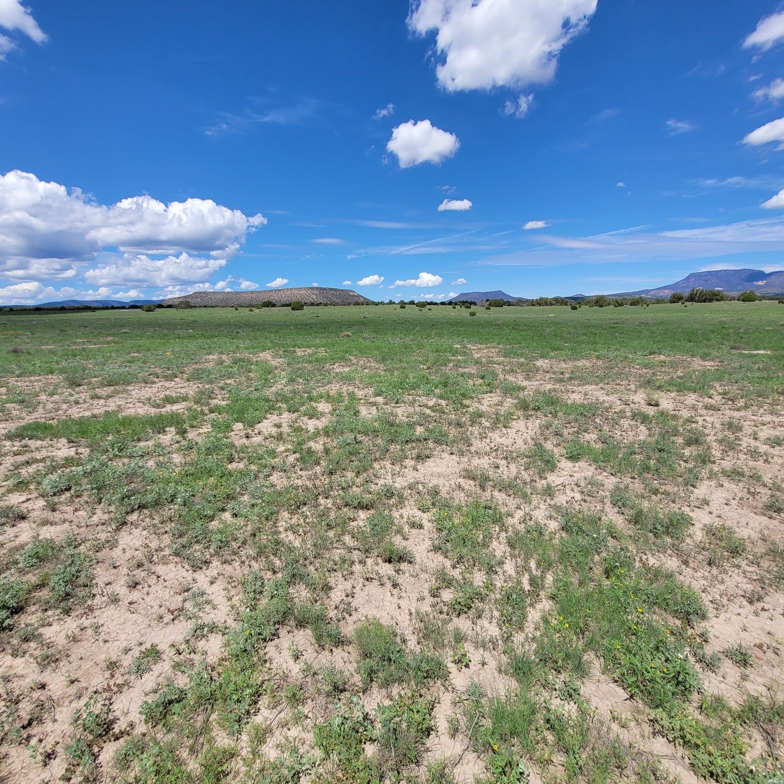 1 Frontier Trail, Unit 17 18 Datil, NM 87821 - Photo 19 of 30 Gallery Image 19