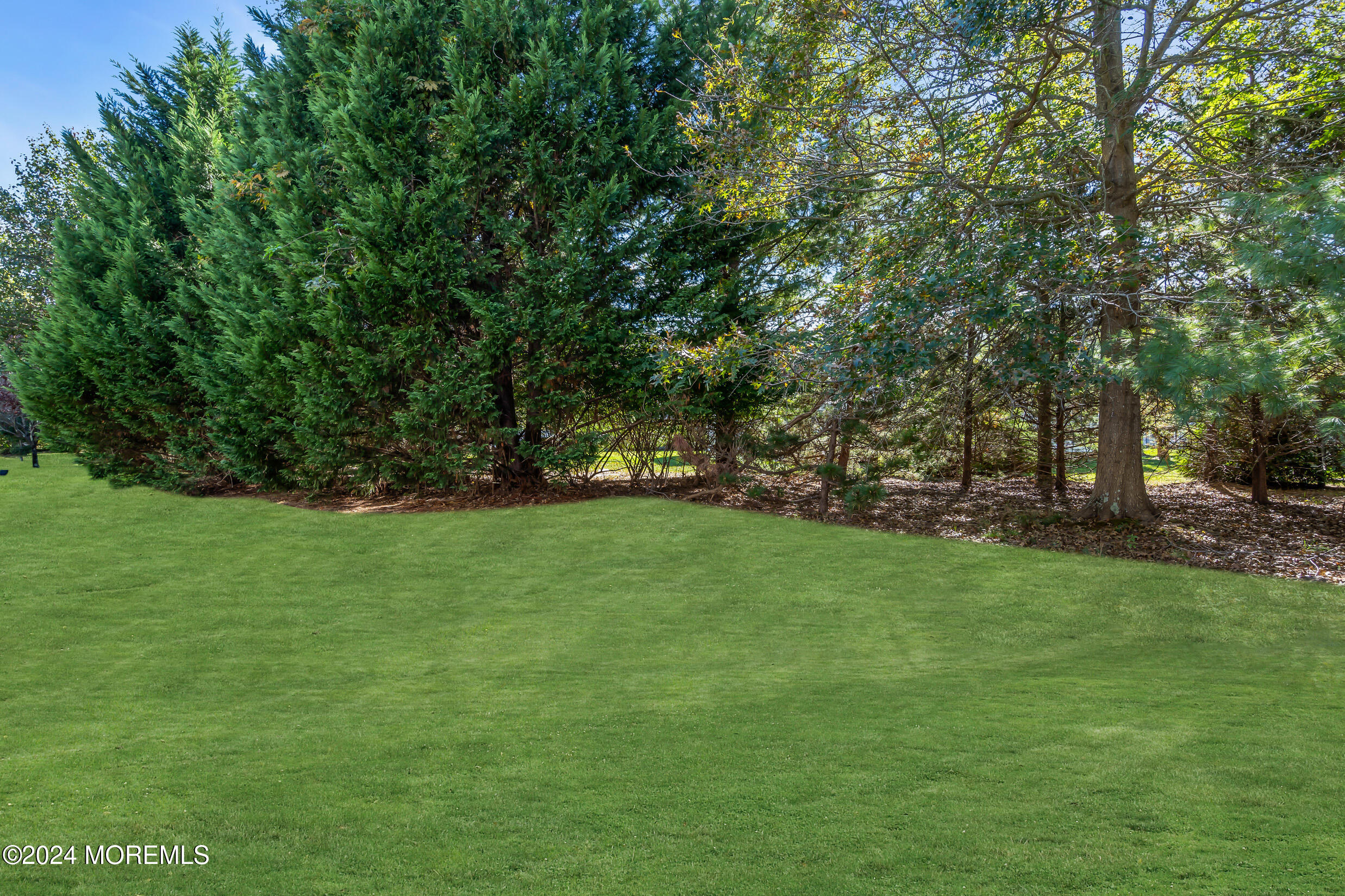 14 Headwaters Place Barnegat, NJ 08005 - Photo 61 of 68 a view of green field with trees in the background