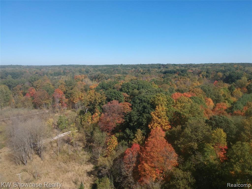 0 Hadley Road Bloomfield Hills, MI 48302 - Photo 9 of 14 Gallery Image 9