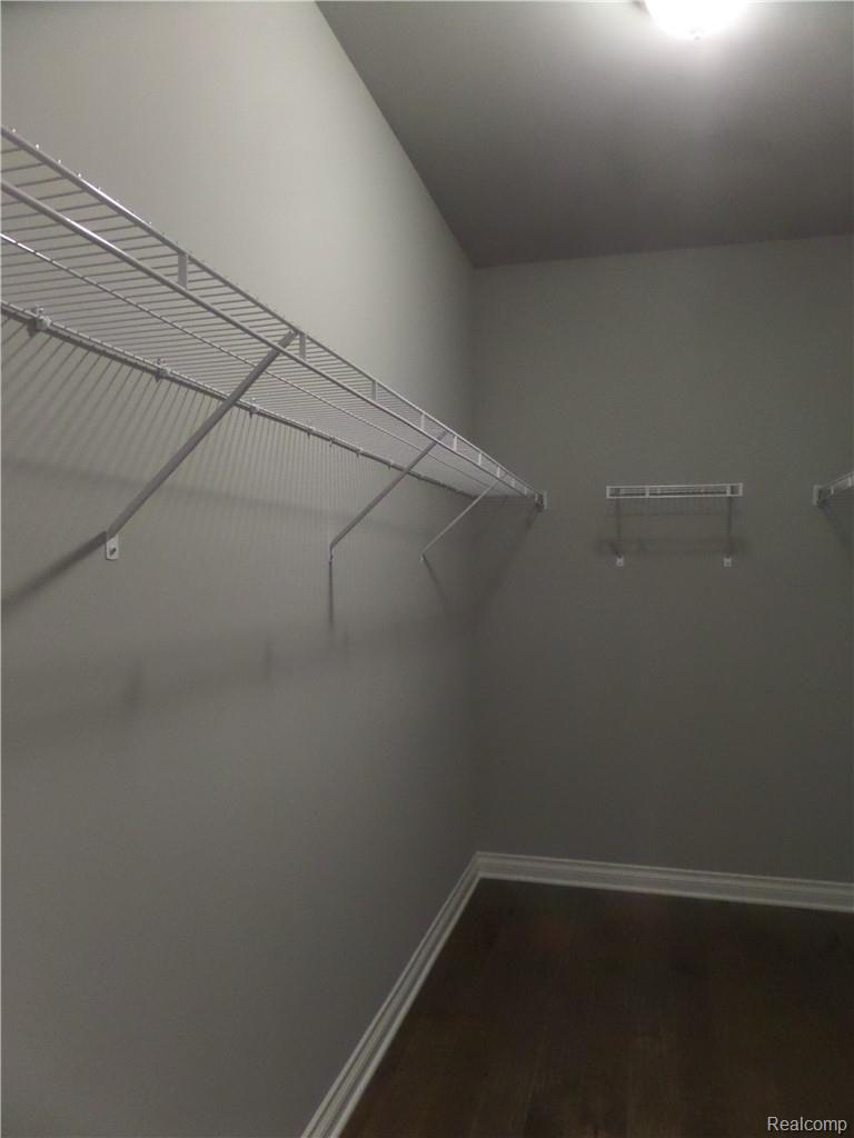 805 Balsam Circle Rochester, MI 48307 - Photo 18 of 20 SAM_3003.JPG