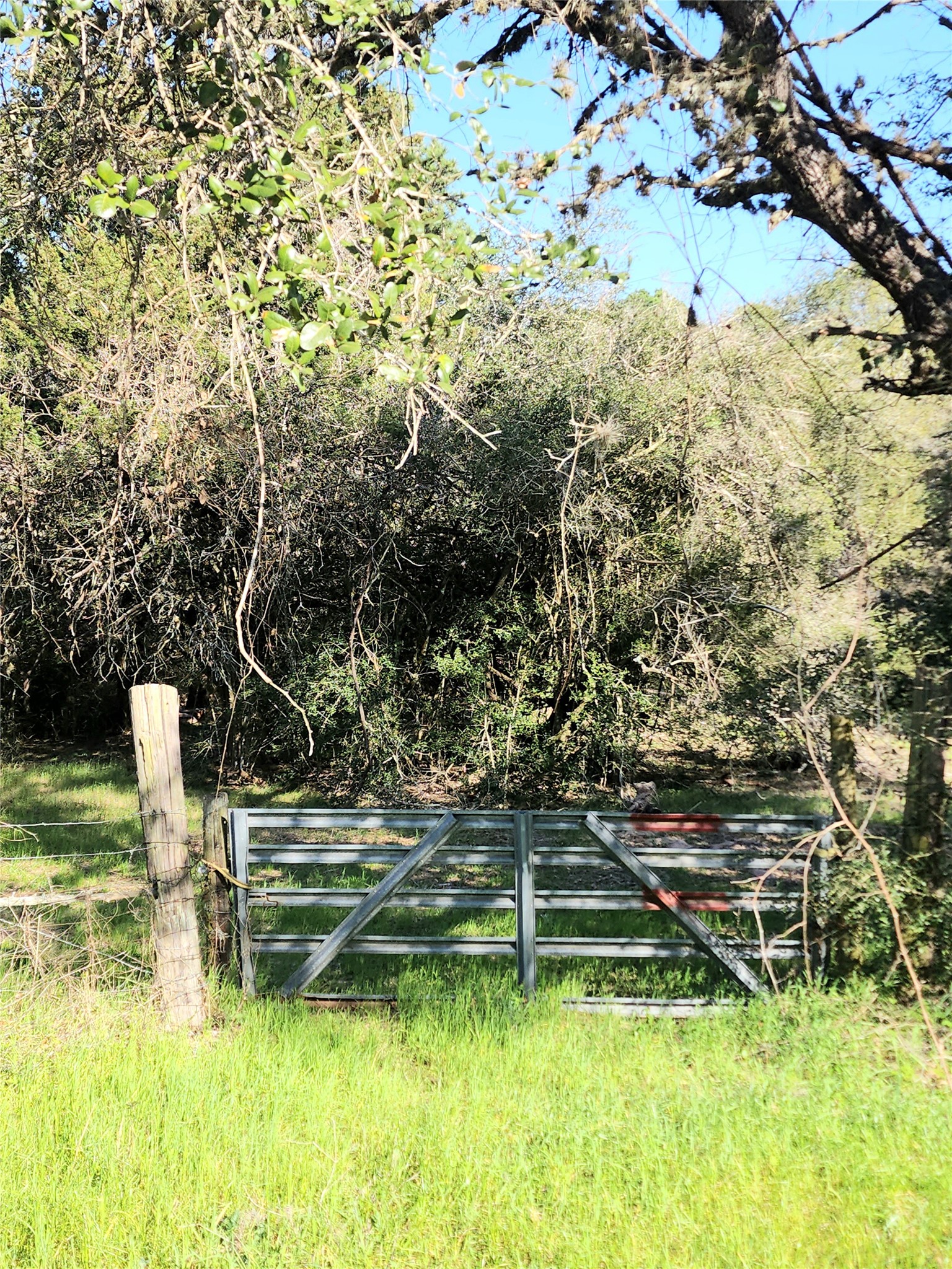 Tbd Tbd Fm-3283 Hallettsville, TX 77964 - Photo 2 of 8