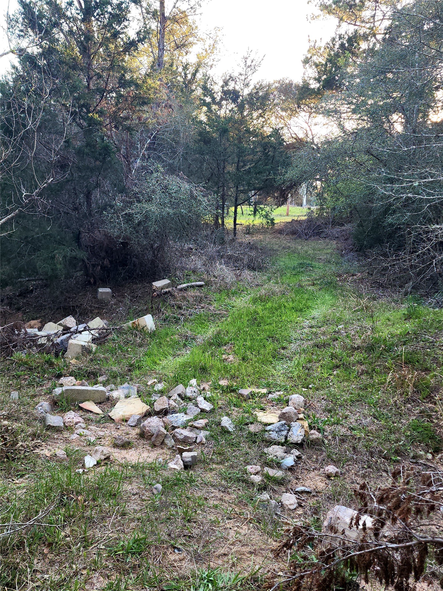 Tbd Tbd Fm-3283 Hallettsville, TX 77964 - Photo 4 of 8