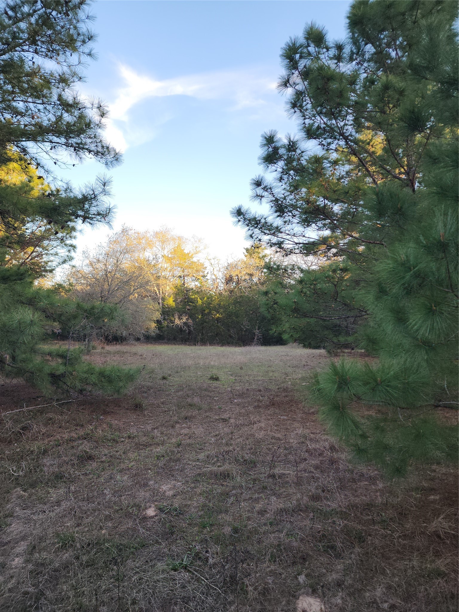 Tbd Tbd Fm-3283 Hallettsville, TX 77964 - Photo 5 of 8